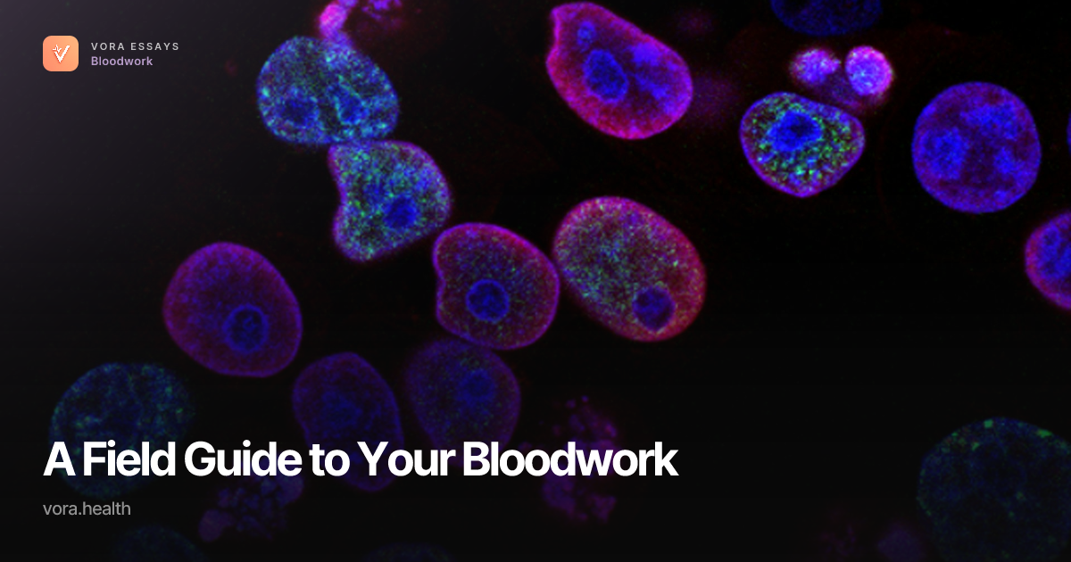 A Field Guide to Your Bloodwork · Vora